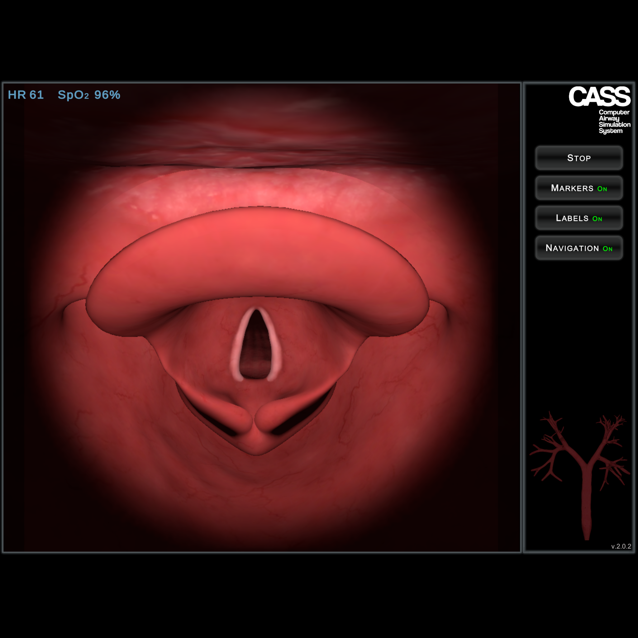 Simulator – CASS