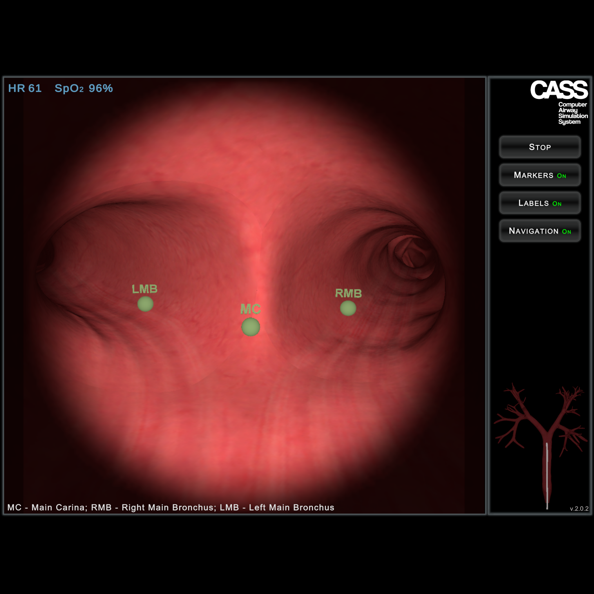 Simulator – CASS